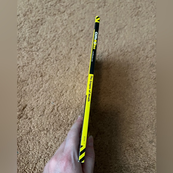 CliffsNotes on The Grapes of Wrath - Picture 3 of 4